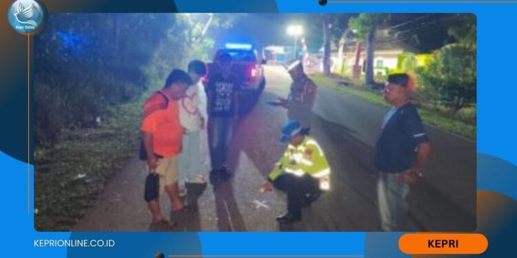 Laga Kambing di Bintan Timur, Pengendara Roda Dua Meninggal Ditempat