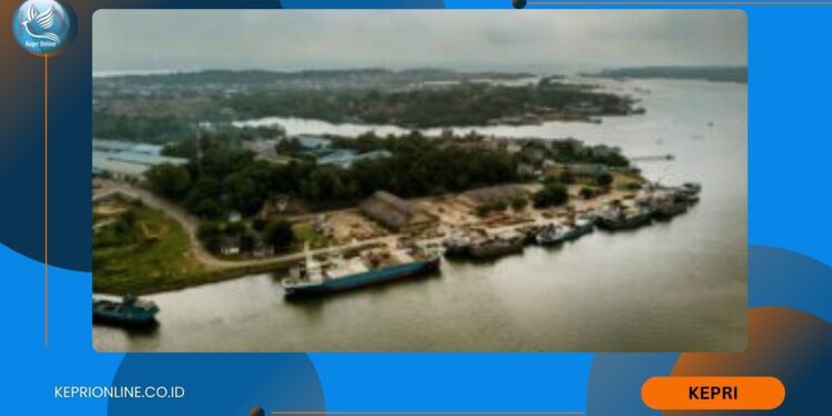 Pelindo Multi Terminal Branch Tanjungpinang Catatkan Capaian Positif Di Semester I-2025
