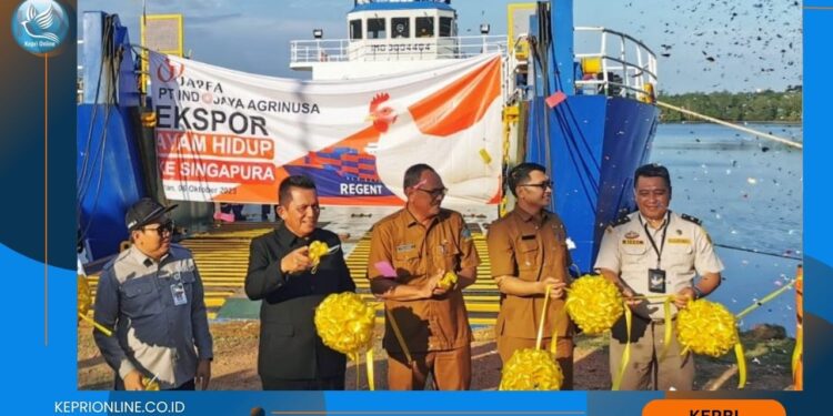 Enam Kontainer Ayam Hidup di Ekspor ke Negara Singapura