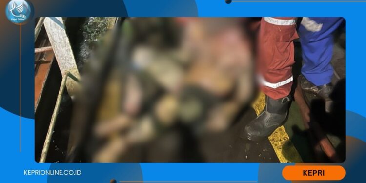 Daftar Nama Korban Tragedi Ledakan Kapal Tangker di PT ASL