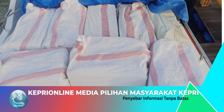 Modus Rokok Ilegal di Karimun Diangkut Kapal Ferry Penumpang Antar Pulau Ini