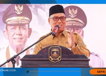 Optimalisasi FTZ BBK Urgen Dilakukan, Wagub Kepri Soroti Kesiapan Infrastruktur Bintan dan Karimun