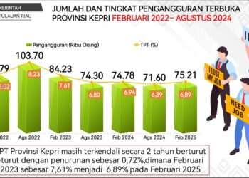 Diky Sebutkan Kebutuhan Tenaga Kerja di Kepri Tinggi