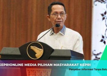 Investasi di Batam Januari Sampai Oktober 2025 Mencapai Rp 54,7 Triliun