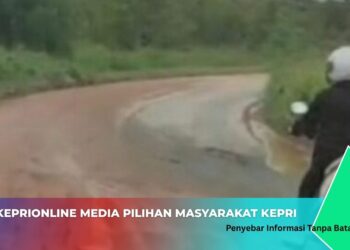 Perpat Kota Batam Soroti Kerusakan Jalan di kawasan Setokok