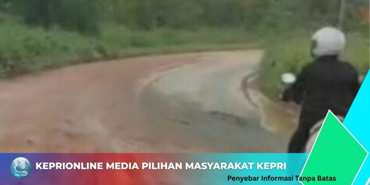 Perpat Kota Batam Soroti Kerusakan Jalan di kawasan Setokok