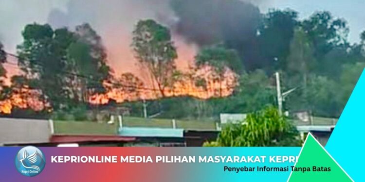 Kebakaran di Pemukiman Tanjung Pinggir