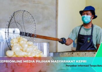 UMKM Binaan PT Timah Sukses Kembangkan Usaha Kerupuk Kulit Sapi