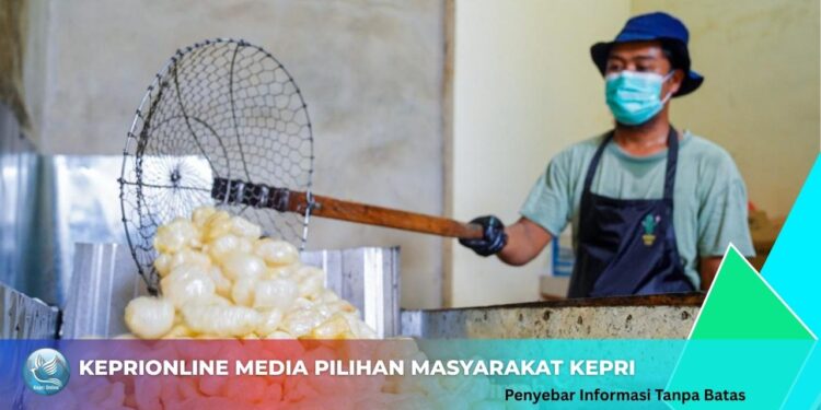 UMKM Binaan PT Timah Sukses Kembangkan Usaha Kerupuk Kulit Sapi