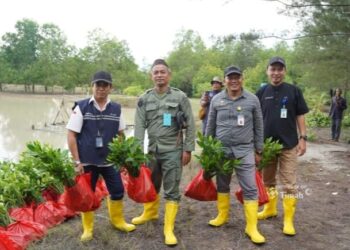 PT TIMAH Tbk Tanam Belasan Ribu Mangrove di Kundur dan Meranti