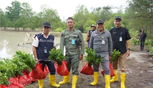 PT TIMAH Tbk Tanam Belasan Ribu Mangrove di Kundur dan Meranti