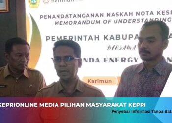 PT Panda Energy Indonesia Akan Berinvestasi Sebesar Rp 36 Triliun di Karimun