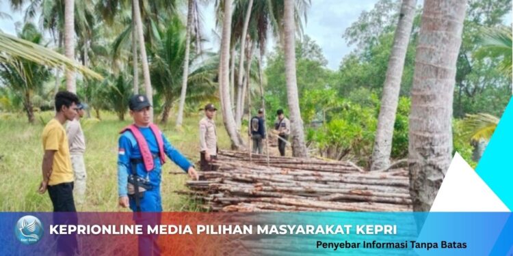 Polisi Berhasil Gagalkan Peengiriman Kayu Bakau