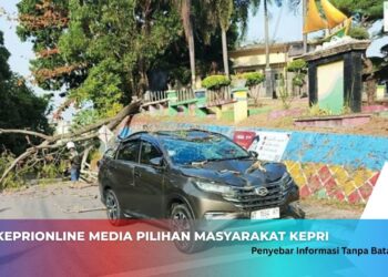 Gerak Cepat Sat Samapta Polres Karimun Tangani Pohon Tumbang Timpa Mobil
