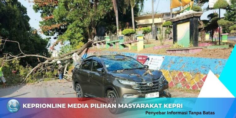 Gerak Cepat Sat Samapta Polres Karimun Tangani Pohon Tumbang Timpa Mobil