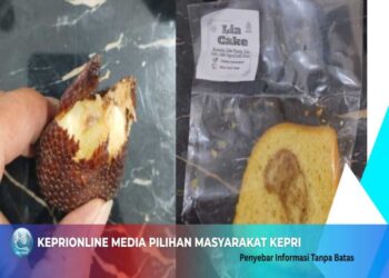 Miris, Temuan Roti Berjamur di SDN 001 Kundur Barat pada Menu MBG