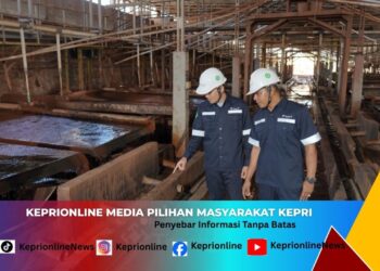 PT Timah (Persero) Tbk Raup Laba Rp1,31 Triliun di Tengah Kenaikan Harga Timah Global