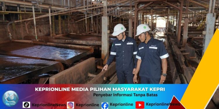 PT Timah (Persero) Tbk Raup Laba Rp1,31 Triliun di Tengah Kenaikan Harga Timah Global