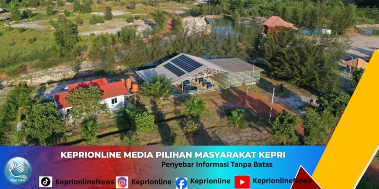 PT Timah (Persero) Tbk Raup Laba Rp1,31 Triliun di Tengah Kenaikan Harga Timah Global