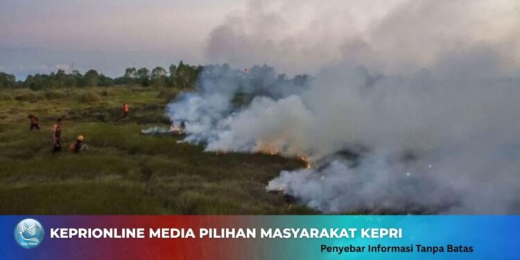 Pemkab Natuna Lakukan Water Bombing untuk Atasi Karhutla di Bunguran Batubi