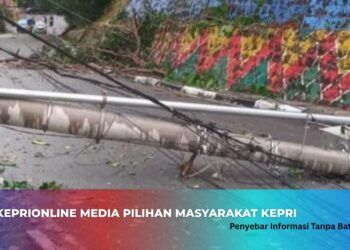 Tiang Listrik Tumbang di Teluk Air Karimun, Lalu Lintas Sempat Terganggu