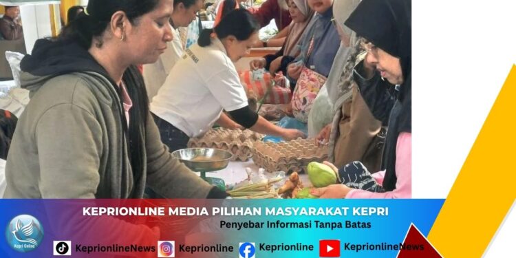 Gubernur Ansar Resmikan Soft Launching MPP Karimun, Siap Layani 29 Jenis Pelayanan Publik