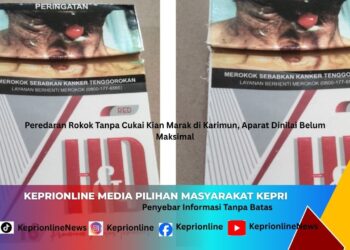 Peredaran Rokok Tanpa Cukai Kian Marak di Karimun, Aparat Dinilai Belum Maksimal