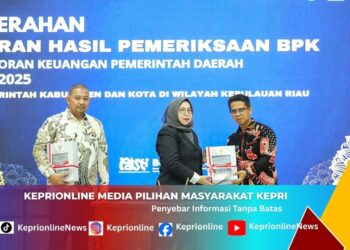 Karimun Pertahankan WTP ke-15, Iskandarsyah Bidik Lonjakan Investasi