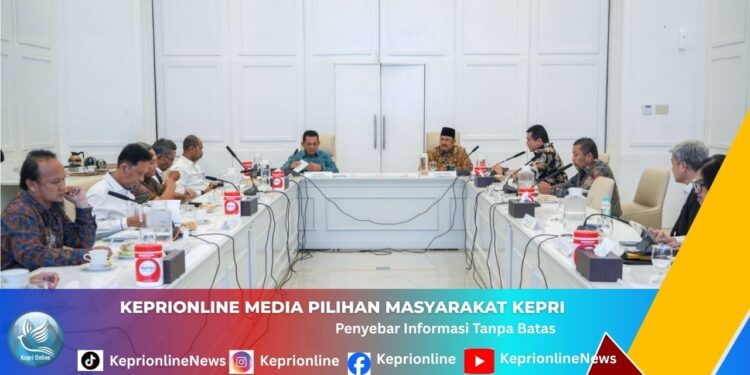 Gubernur Ansar Perjuangkan Penataan Pulau Penyengat, Bangun Museum dan Monumen Bahasa Nasional