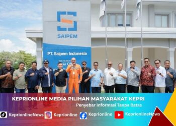 Iskandarsyah Dorong Penguatan BP Karimun untuk Percepat Arus Investasi, Bahas Akselerasi Pembangunan Ekonomi