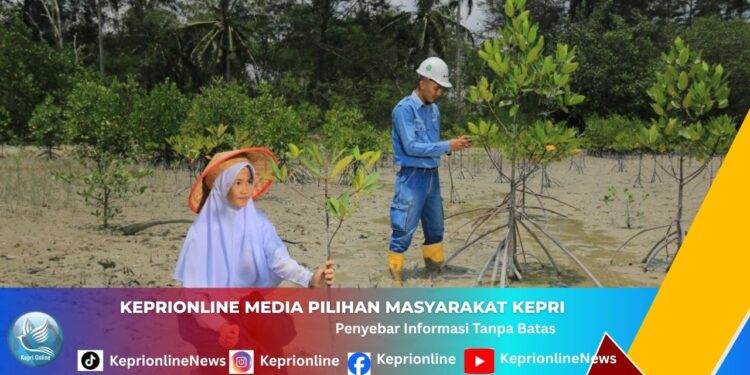 Subsidi Bunga 0 Persen hingga QRIS Gratis, Pemkab Bintan Perkuat UMKM Lokal
