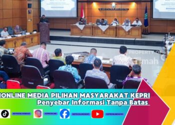 Bupati Iskandarsyah Terima Kunker Komisi IX DPR RI, Dorong Program Strategis untuk Karimun