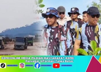 IPK Batam Desak APH Usut Dugaan Penimbunan Mangrove di Marina
