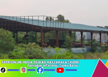 Lahan ISENABASA. ( Foto Istemewa)