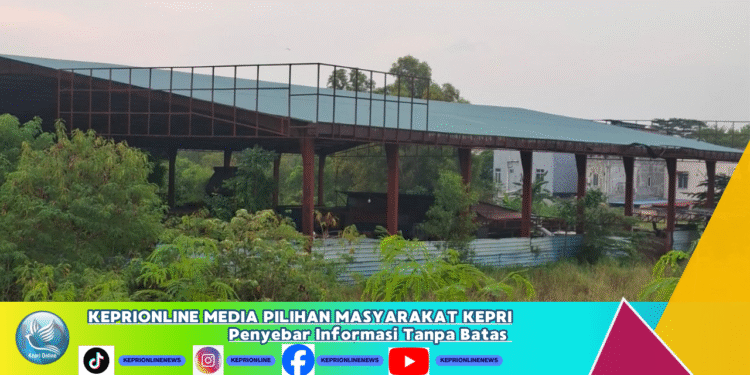 Lahan ISENABASA. ( Foto Istemewa)